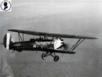 Firenze - Aereo IMAM Ro.1 in volo - Agosto 1931
